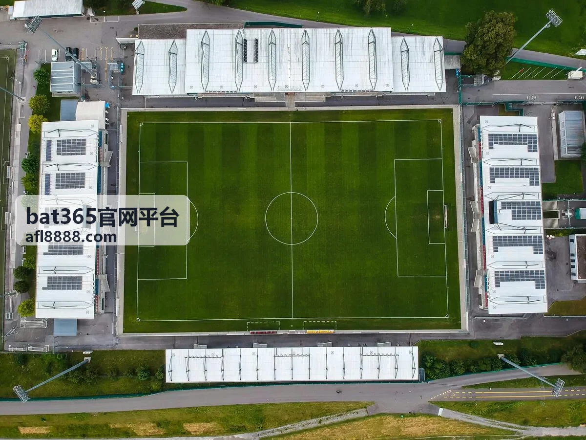 观赛准备全流程